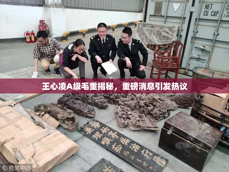 王心凌A级毛重揭秘，重磅消息引发热议