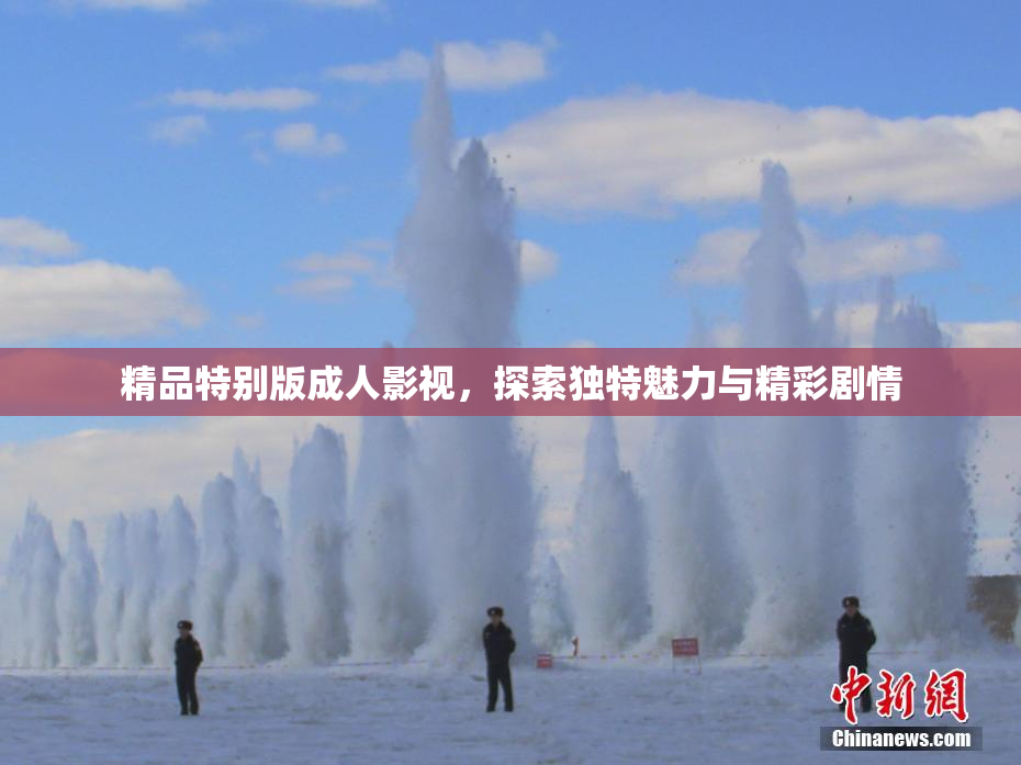 精品特别版成人影视，探索独特魅力与精彩剧情