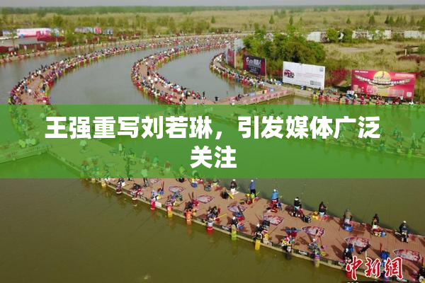 王强重写刘若琳，引发媒体广泛关注