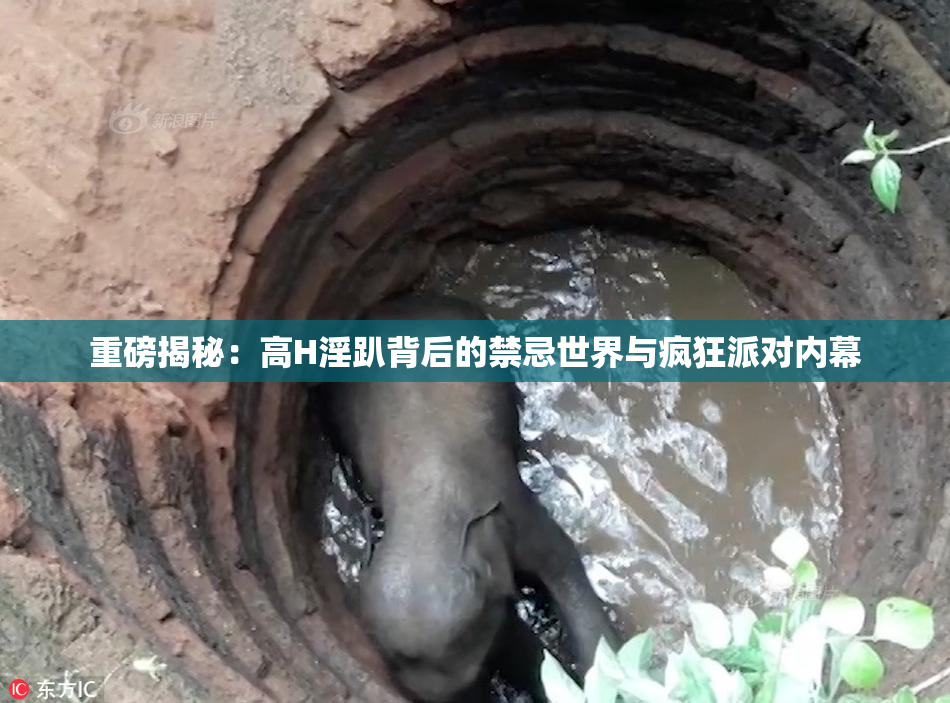重磅揭秘：高H淫趴背后的禁忌世界与疯狂派对内幕