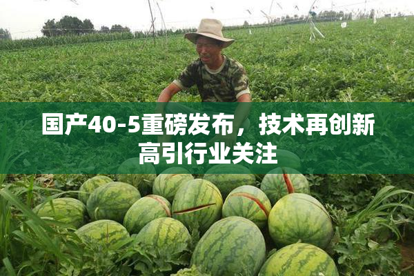 国产40-5重磅发布，技术再创新高引行业关注