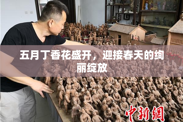 五月丁香花盛开，迎接春天的绚丽绽放