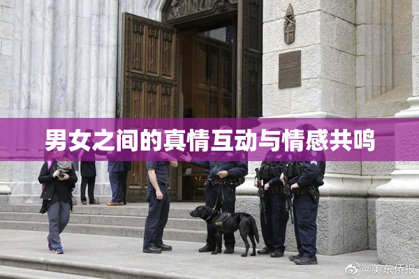 男女之间的真情互动与情感共鸣
