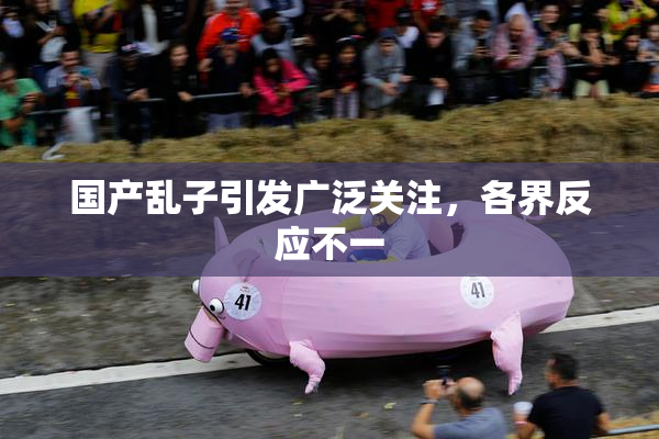 国产乱子引发广泛关注，各界反应不一