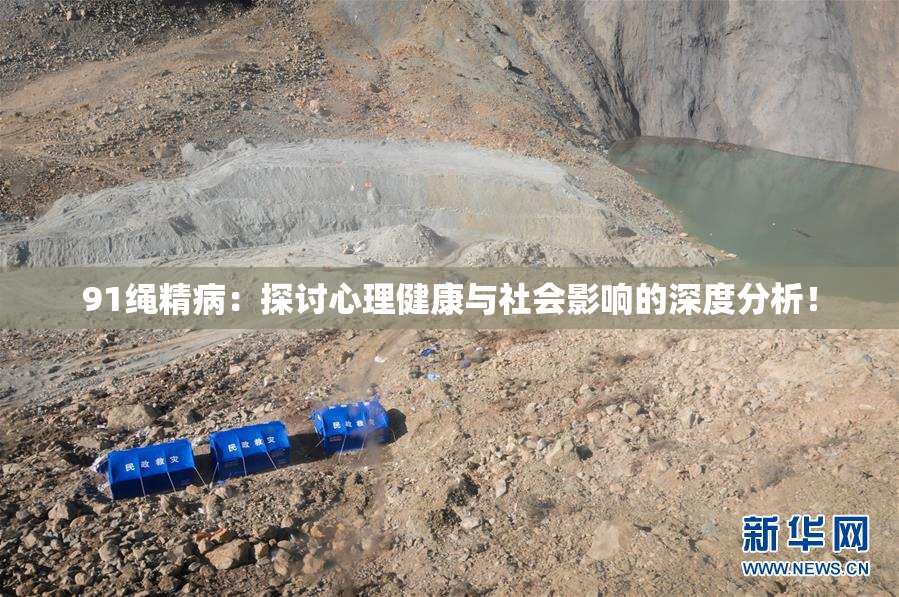 91绳精病：探讨心理健康与社会影响的深度分析！