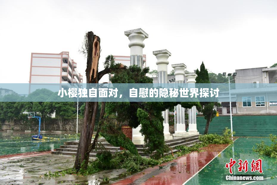 小樱独自面对，自慰的隐秘世界探讨