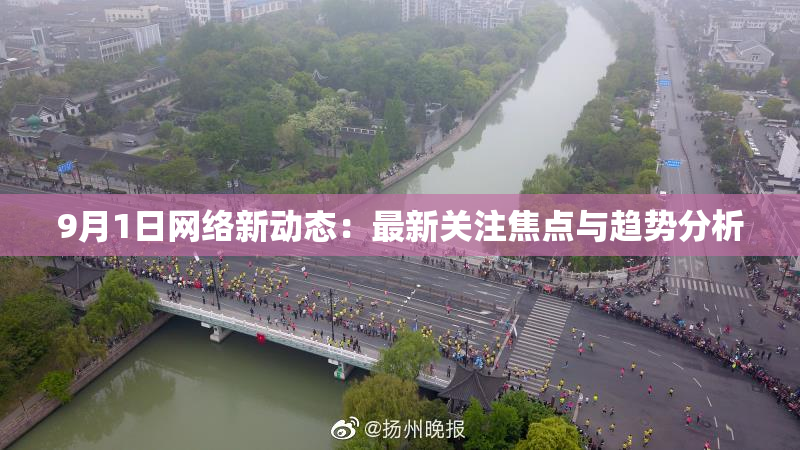9月1日网络新动态：最新关注焦点与趋势分析
