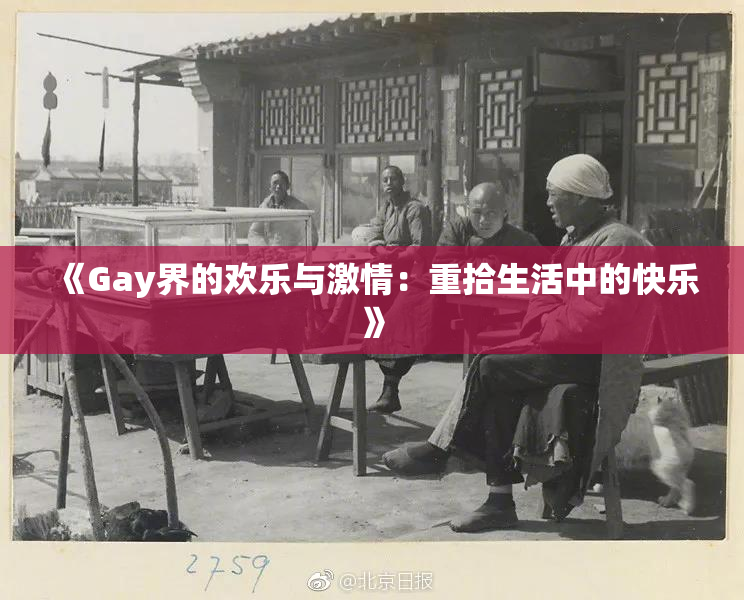 《Gay界的欢乐与激情：重拾生活中的快乐》