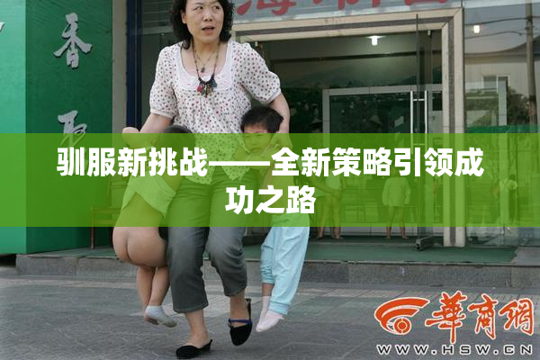 驯服新挑战——全新策略引领成功之路