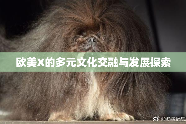 欧美X的多元文化交融与发展探索