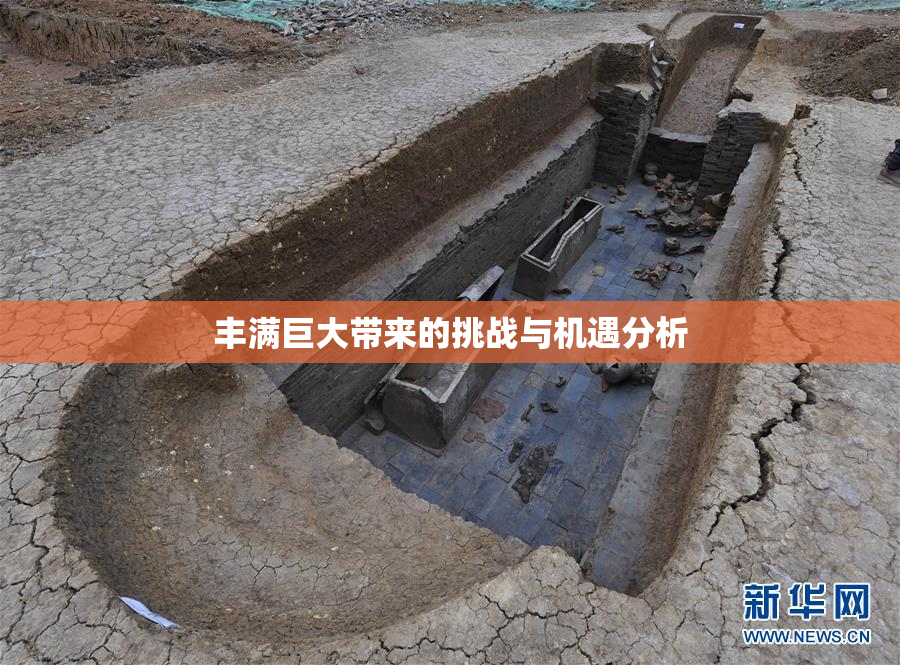 丰满巨大带来的挑战与机遇分析