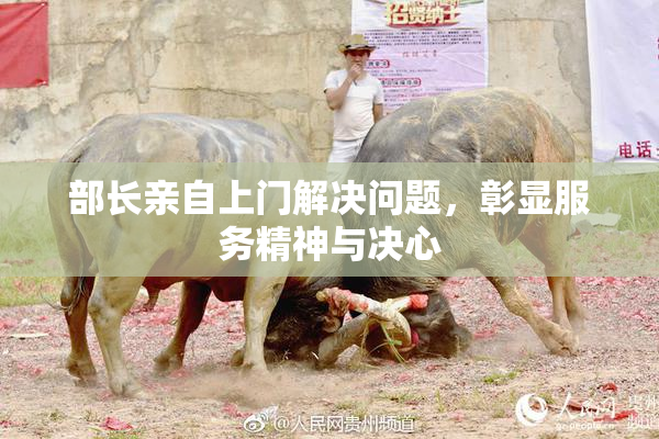 部长亲自上门解决问题，彰显服务精神与决心