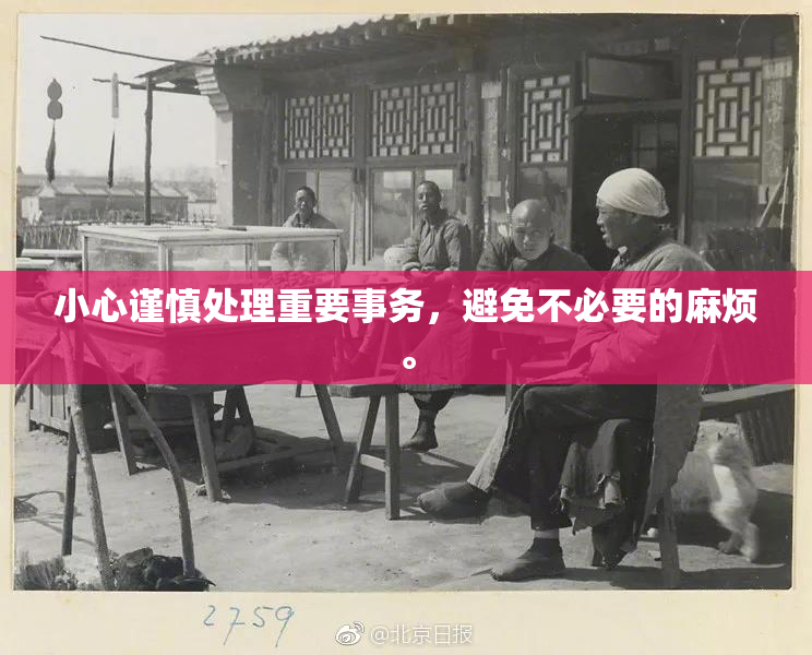 小心谨慎处理重要事务，避免不必要的麻烦。