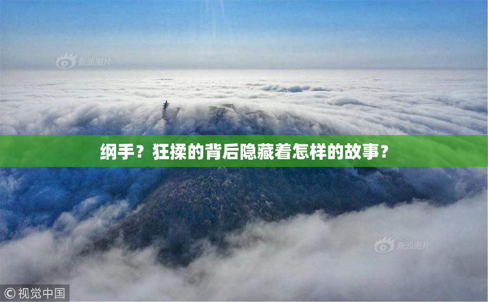 纲手？狂揉的背后隐藏着怎样的故事？