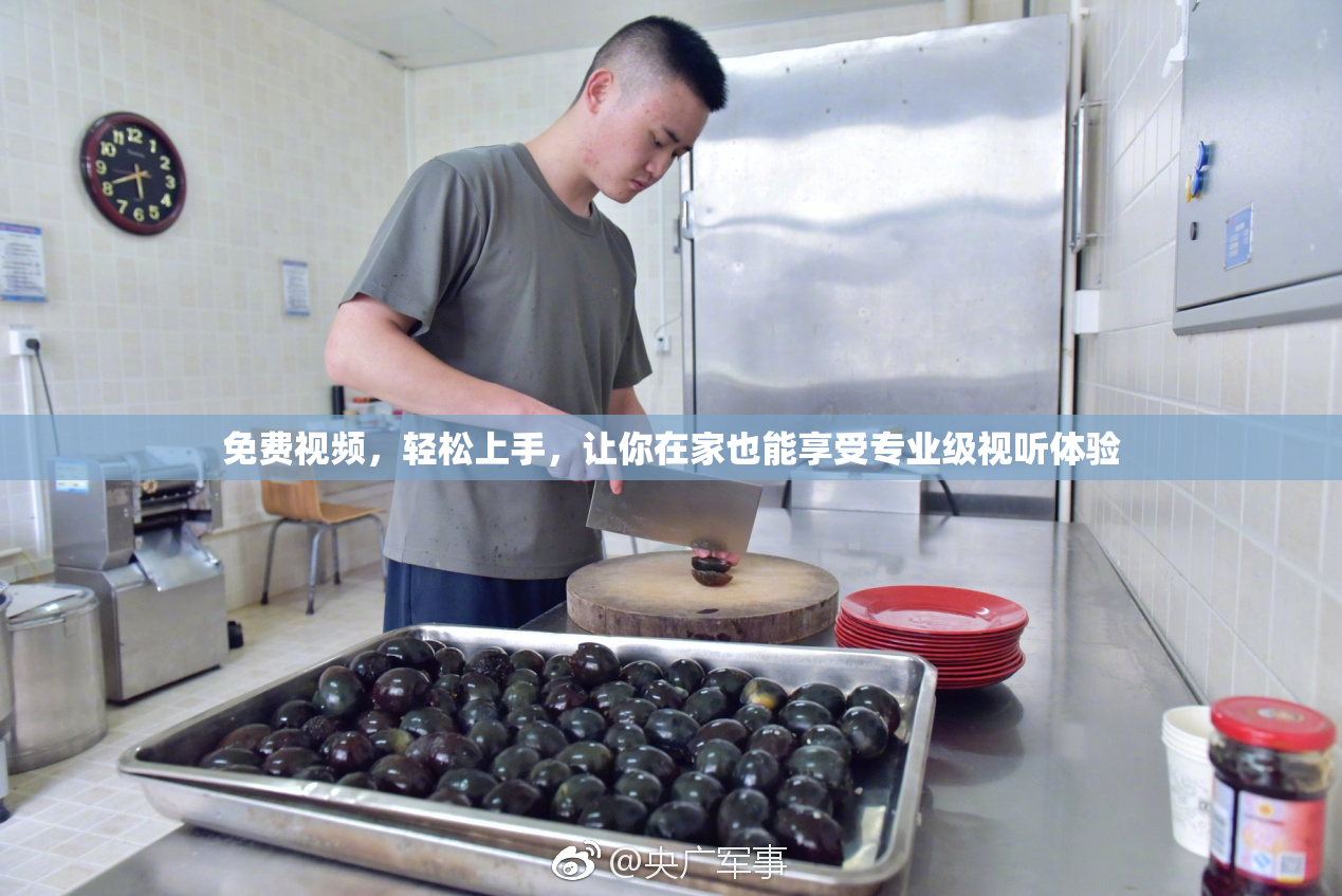 免费视频，轻松上手，让你在家也能享受专业级视听体验