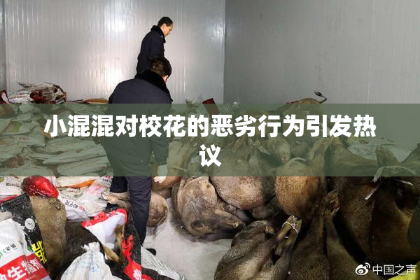 小混混对校花的恶劣行为引发热议