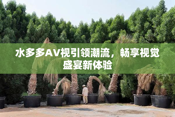 水多多AV视引领潮流，畅享视觉盛宴新体验
