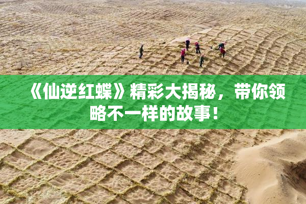 《仙逆红蝶》精彩大揭秘，带你领略不一样的故事！