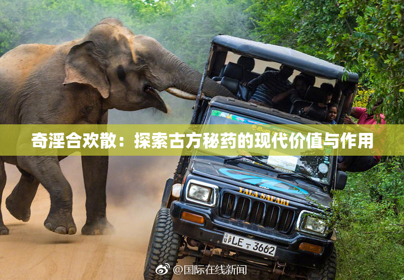 奇淫合欢散：探索古方秘药的现代价值与作用