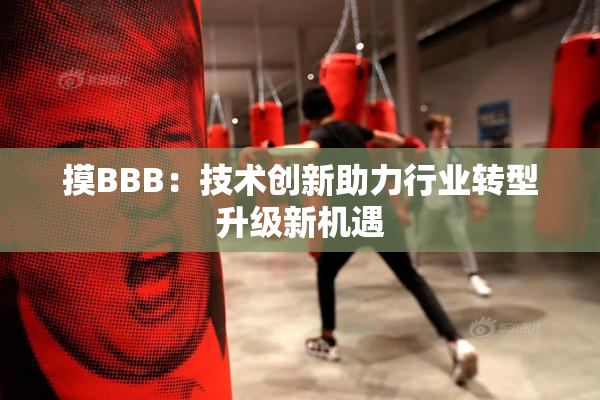 摸BBB：技术创新助力行业转型升级新机遇