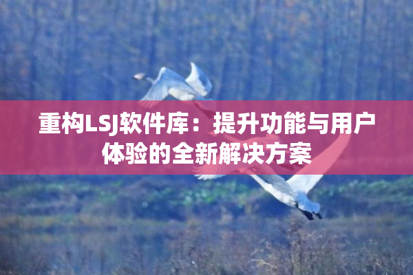重构LSJ软件库：提升功能与用户体验的全新解决方案