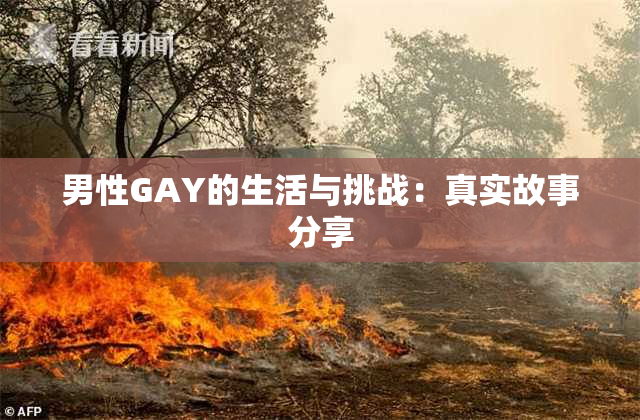 男性GAY的生活与挑战：真实故事分享