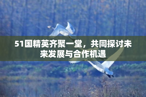 51国精英齐聚一堂，共同探讨未来发展与合作机遇