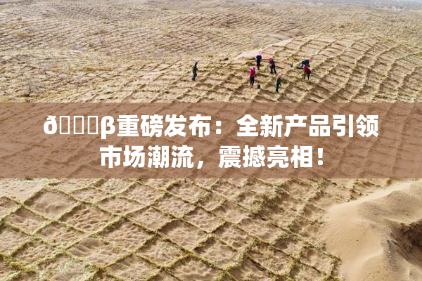 🔞β重磅发布：全新产品引领市场潮流，震撼亮相！