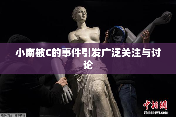 小南被C的事件引发广泛关注与讨论