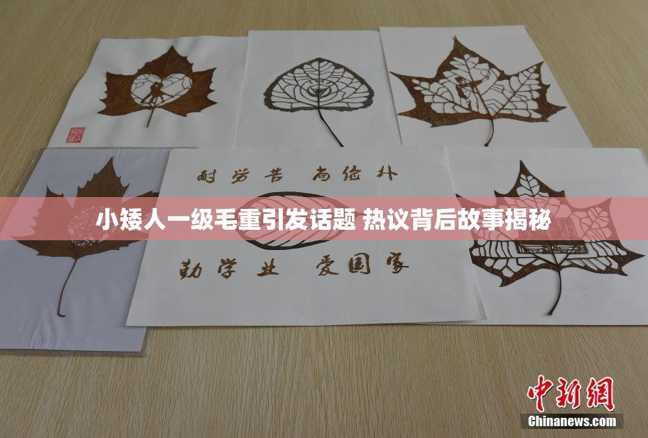 小矮人一级毛重引发话题 热议背后故事揭秘