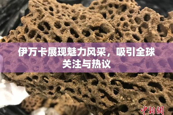 伊万卡展现魅力风采，吸引全球关注与热议