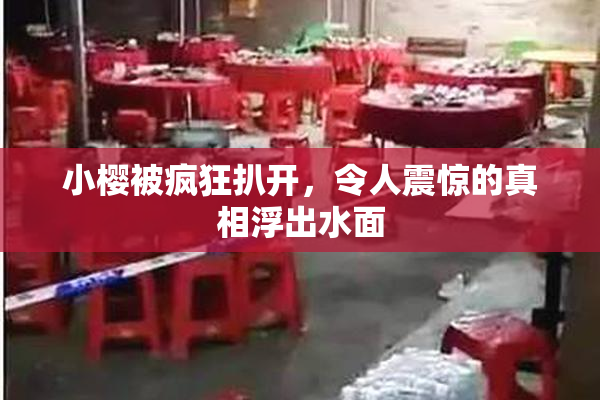 小樱被疯狂扒开，令人震惊的真相浮出水面