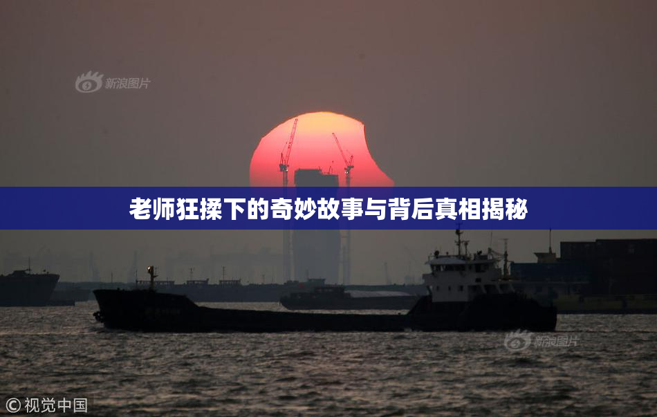 老师狂揉下的奇妙故事与背后真相揭秘
