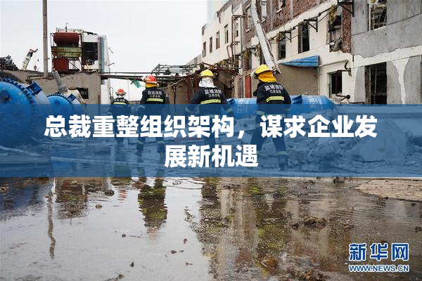 总裁重整组织架构，谋求企业发展新机遇