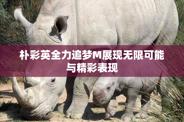 朴彩英全力追梦M展现无限可能与精彩表现