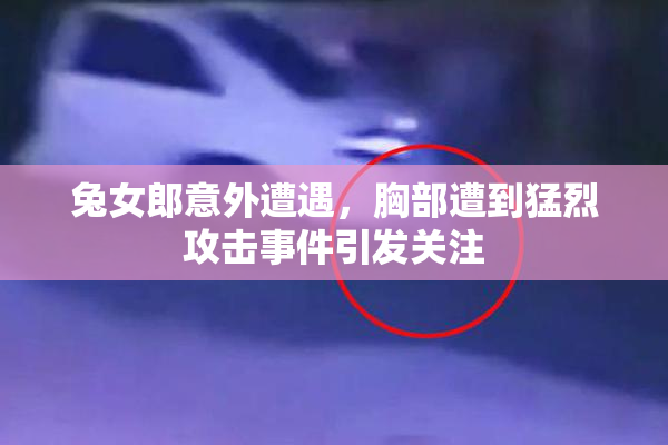 兔女郎意外遭遇，胸部遭到猛烈攻击事件引发关注
