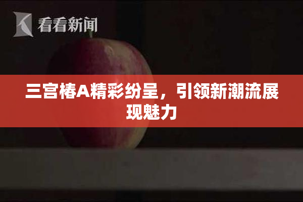 三宫椿A精彩纷呈，引领新潮流展现魅力