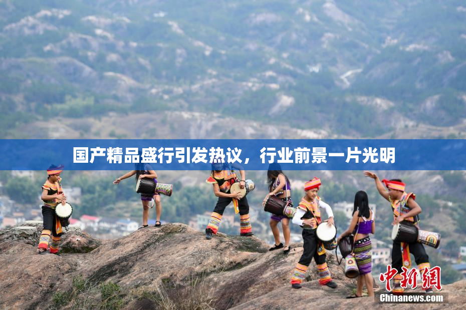 国产精品盛行引发热议，行业前景一片光明