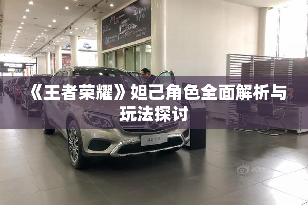 《王者荣耀》妲己角色全面解析与玩法探讨