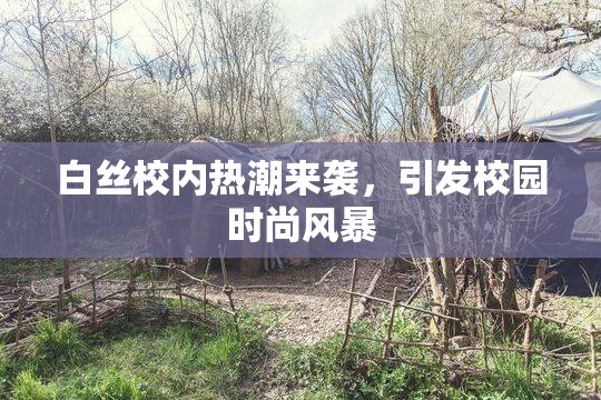 白丝校内热潮来袭，引发校园时尚风暴