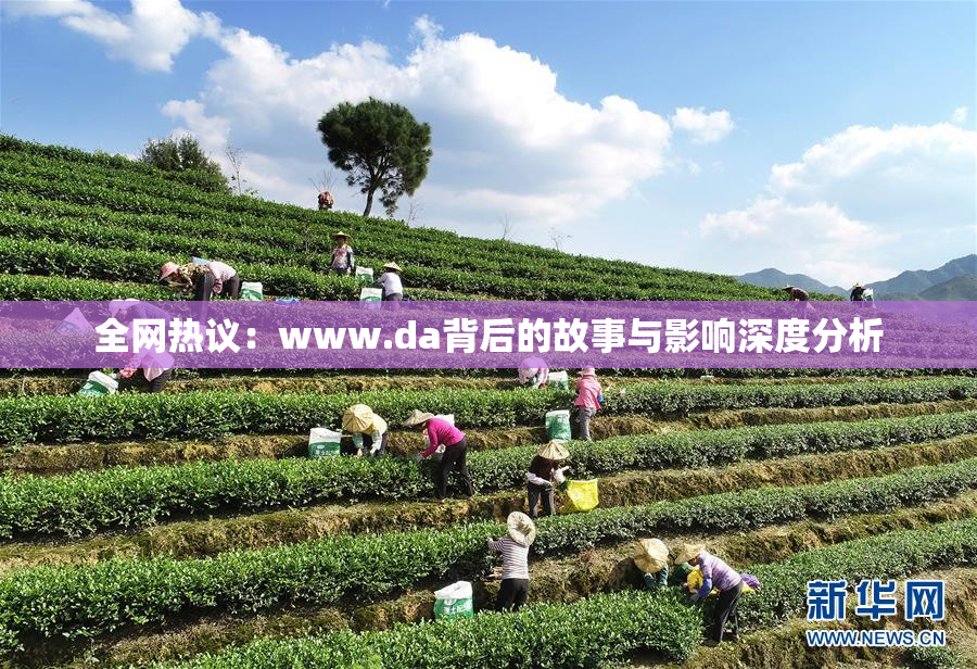 全网热议：www.da背后的故事与影响深度分析