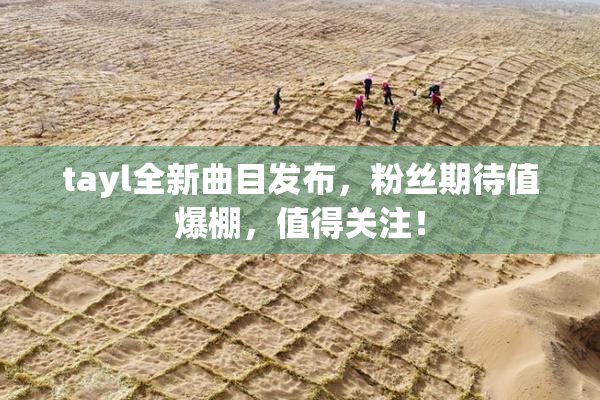tayl全新曲目发布，粉丝期待值爆棚，值得关注！