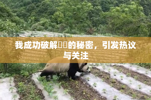 我成功破解妺妺的秘密，引发热议与关注