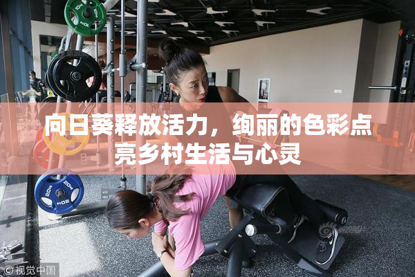 向日葵释放活力，绚丽的色彩点亮乡村生活与心灵