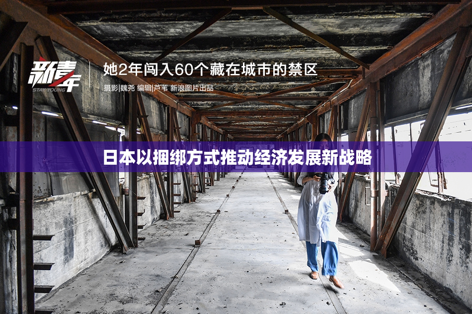 日本以捆绑方式推动经济发展新战略