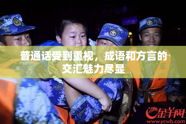 普通话受到重视，成语和方言的交汇魅力尽显