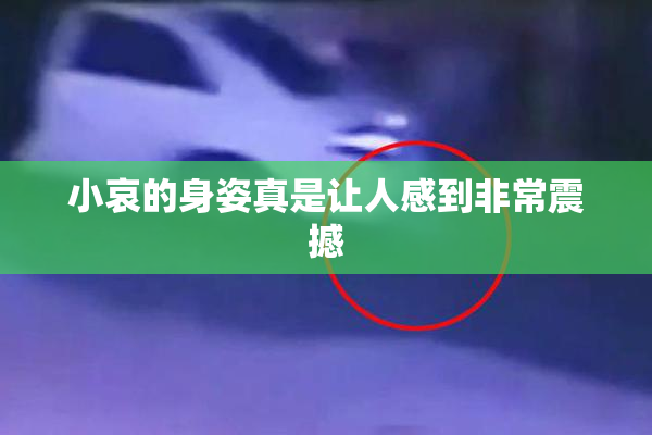 小哀的身姿真是让人感到非常震撼