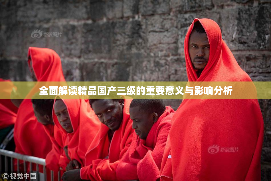 全面解读精品国产三级的重要意义与影响分析