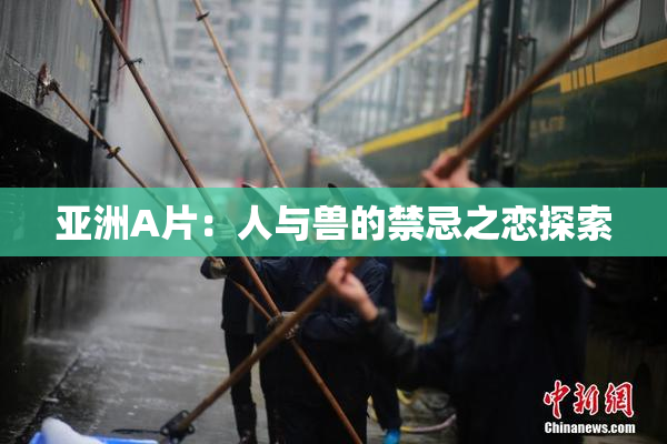 亚洲A片：人与兽的禁忌之恋探索