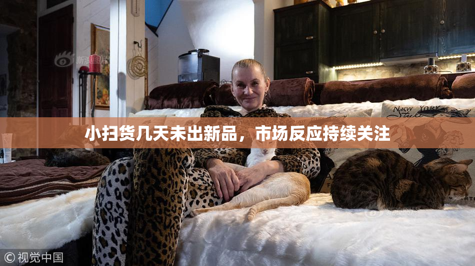 小扫货几天未出新品，市场反应持续关注